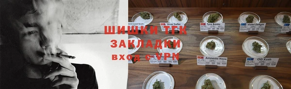 индика Алексеевка