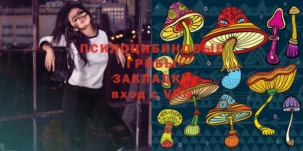 спайс Алексин