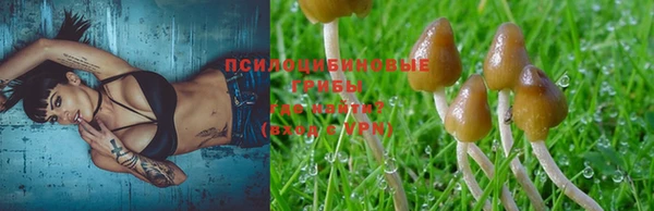 спайс Алексин